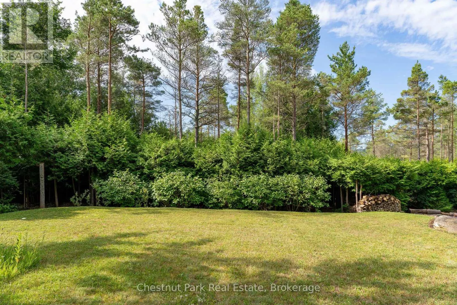 23 FOREST DRIVE