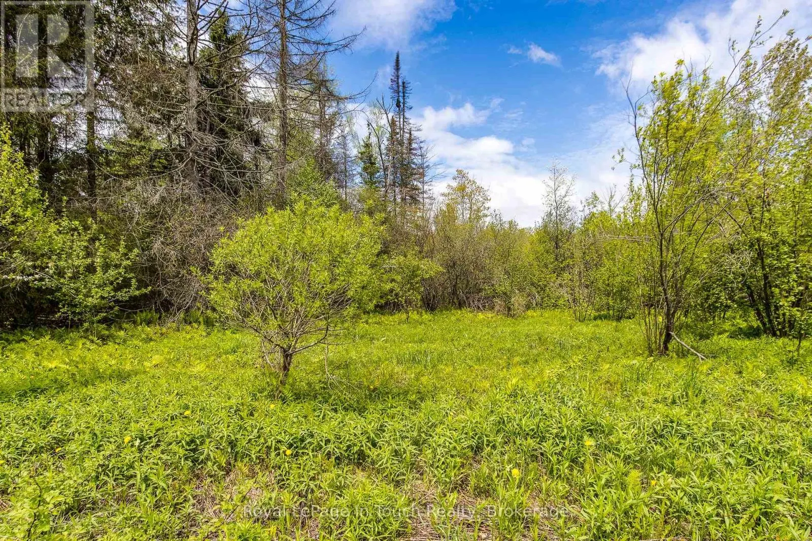 284 CONCESSION 12 ROAD E