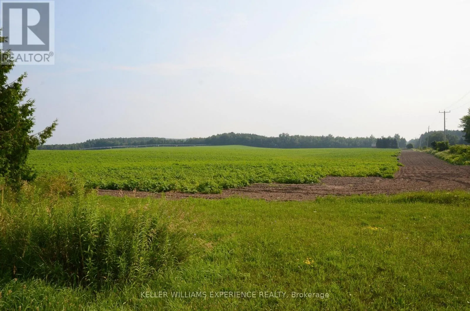 160 CONCESSION ROAD 17 W