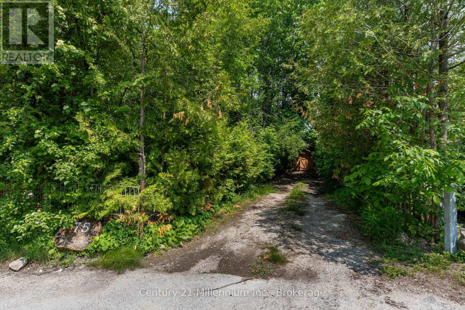 75 GLEN ROAD
