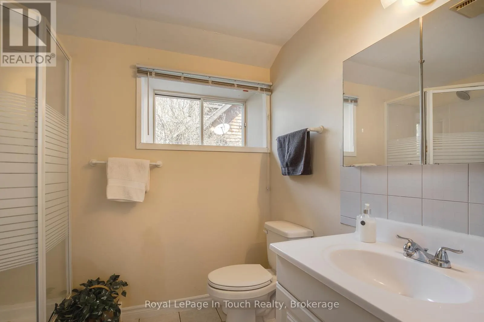 119 SILVER BIRCH DRIVE