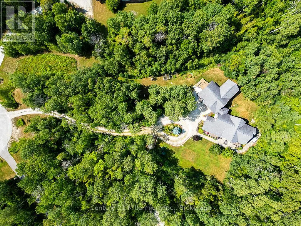 6 FOREST PATH