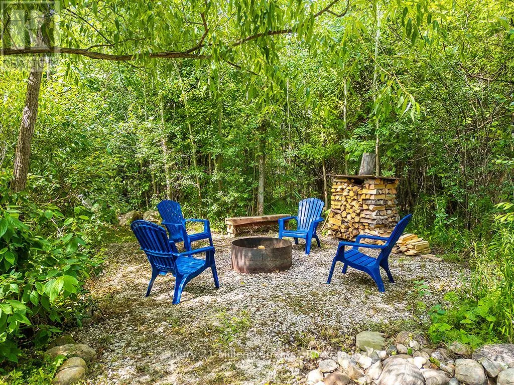 6 FOREST PATH