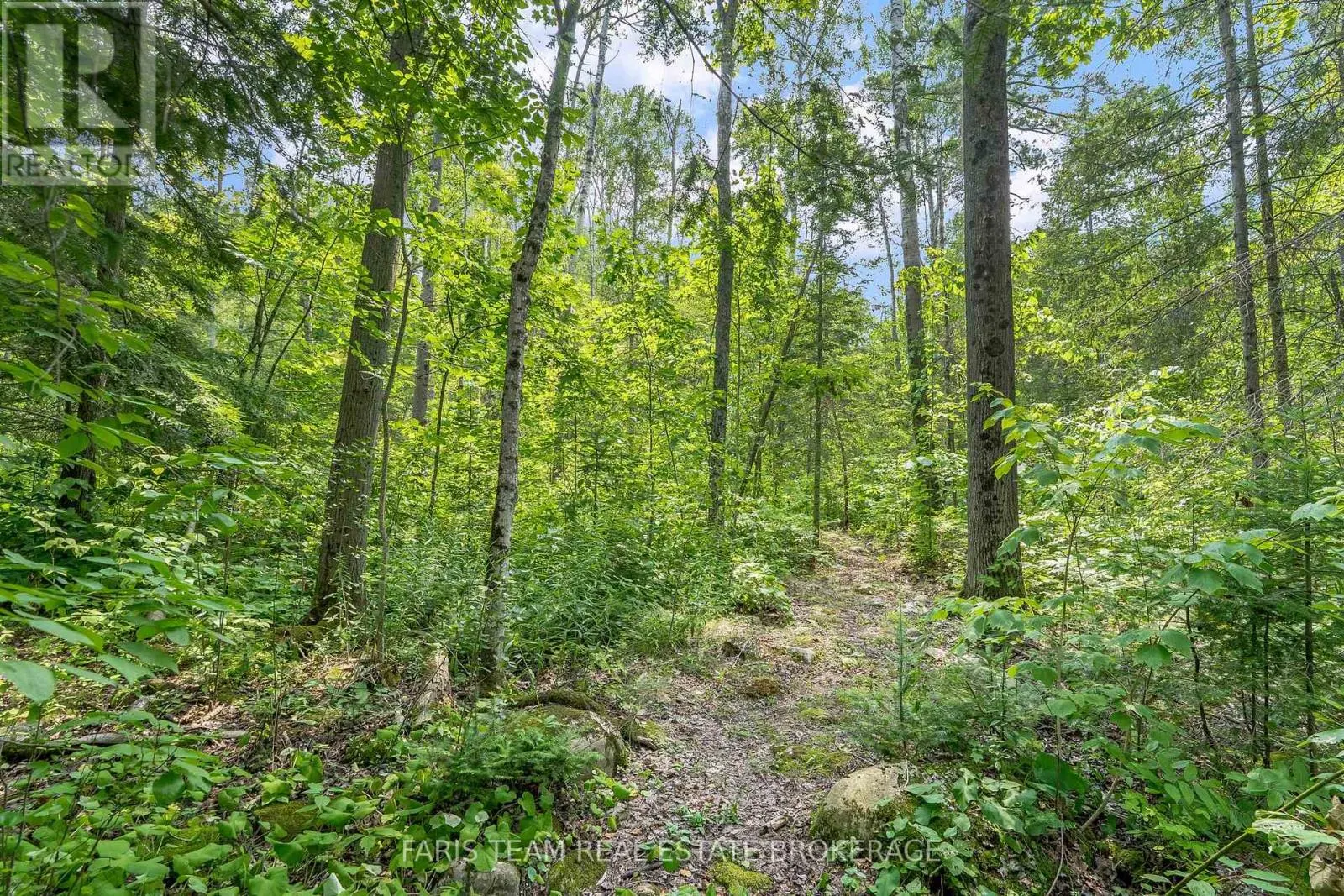 457 SILVER BIRCH DRIVE