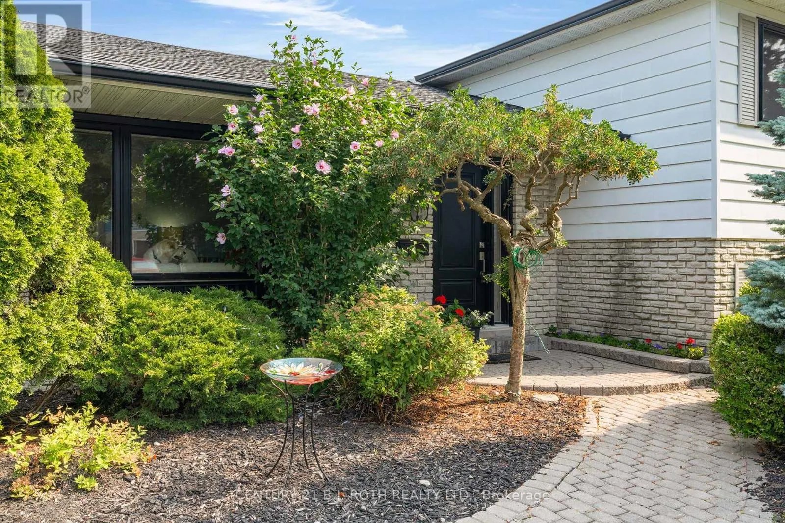 50 BELCOURT AVENUE