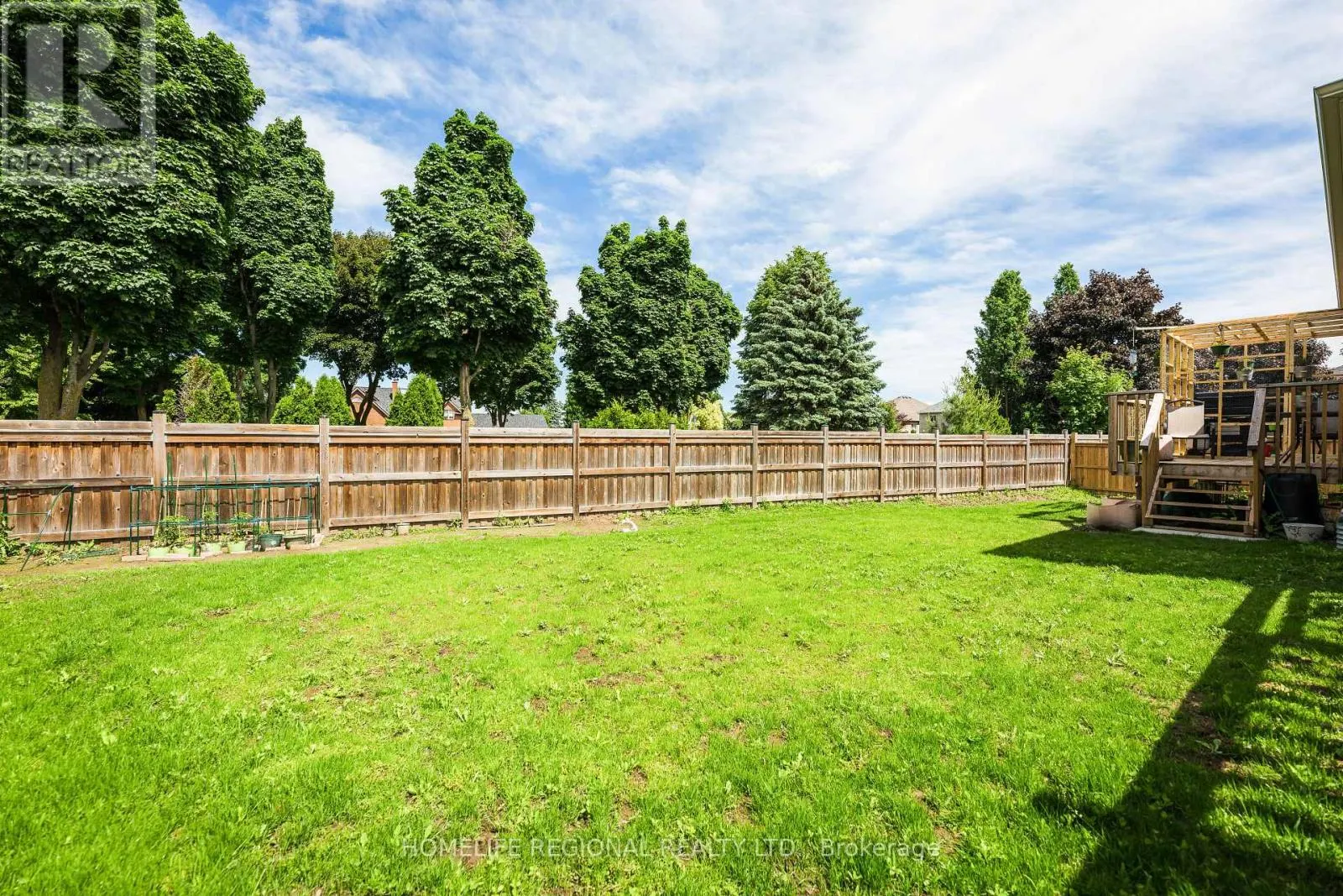 LOWER LEVEL - 80 PRINCE GEORGE CRESCENT