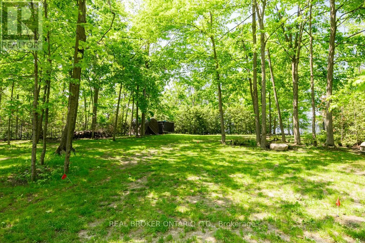 45 IVY LANE