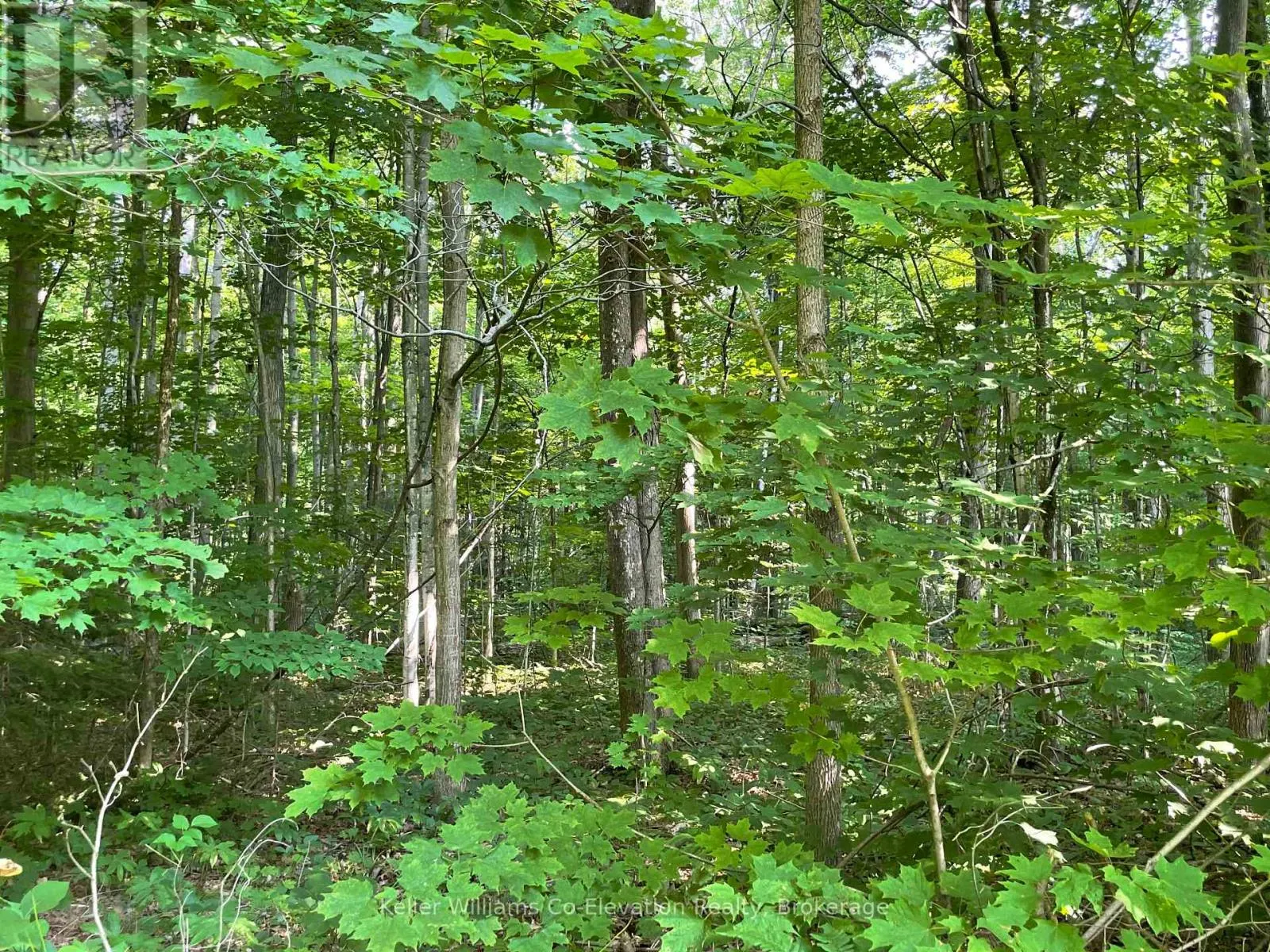 LOT 24 CROOKED CREEK CRESCENT