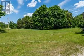 12369 COUNTY ROAD 16