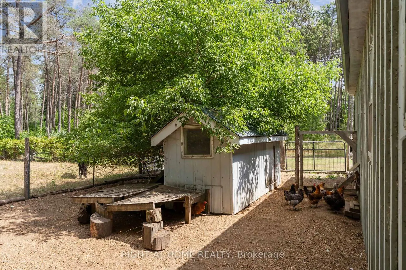 6216 SUNNIDALE TOSORONTIO TOWNLINE