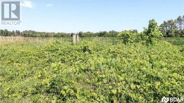 Listing S4701501 - Large Photo # 4