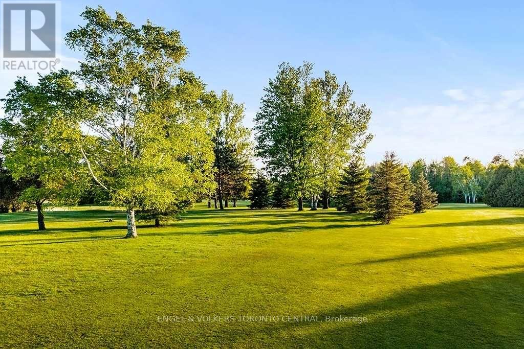 Listing S5646617 - Large Photo # 18