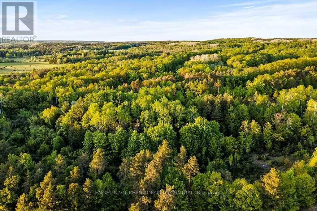 Listing S5646617 - Large Photo # 7