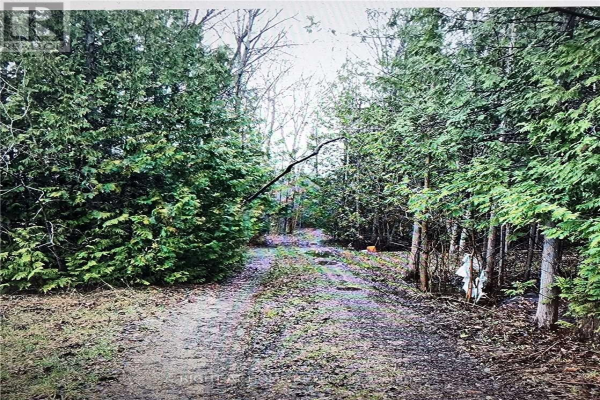 8186 PROVINCIAL HWY 11 RD, Severn
