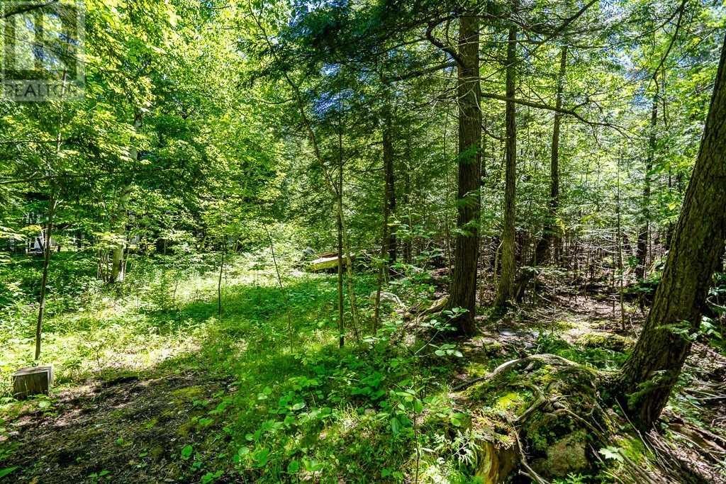 Listing S5660452 - Large Photo # 7