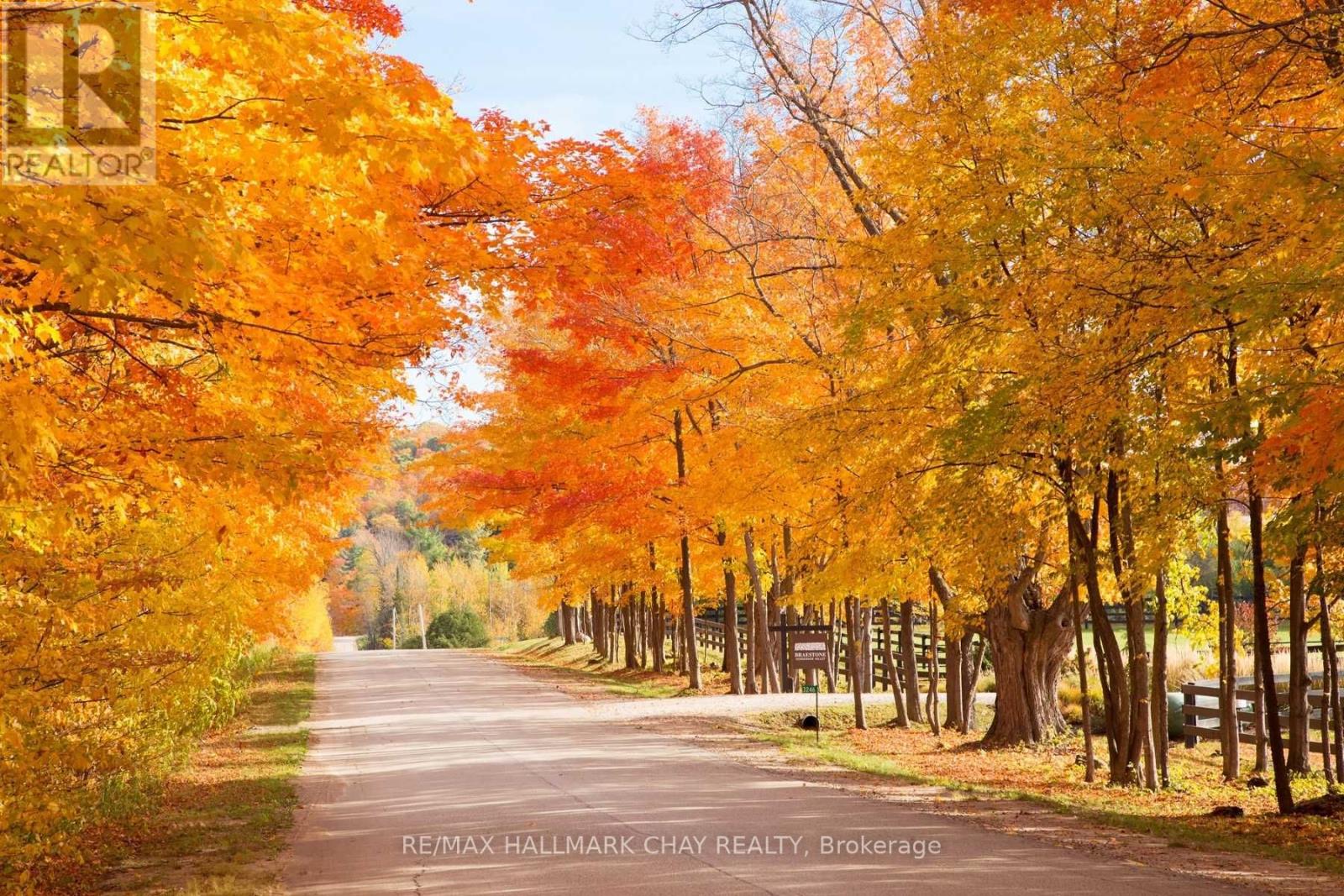 Listing S5702741 - Large Photo # 14