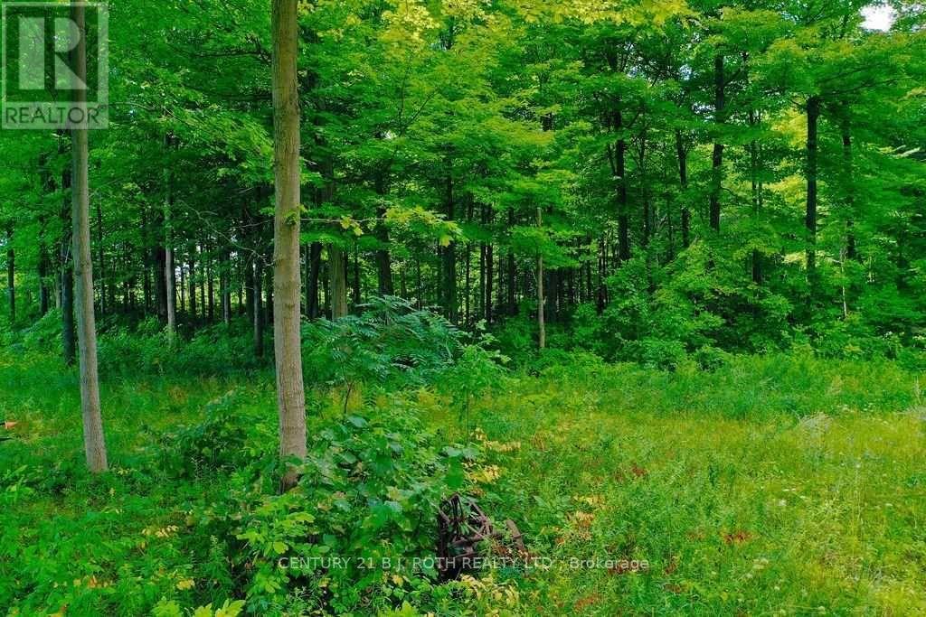 Listing S5744392 - Large Photo # 6
