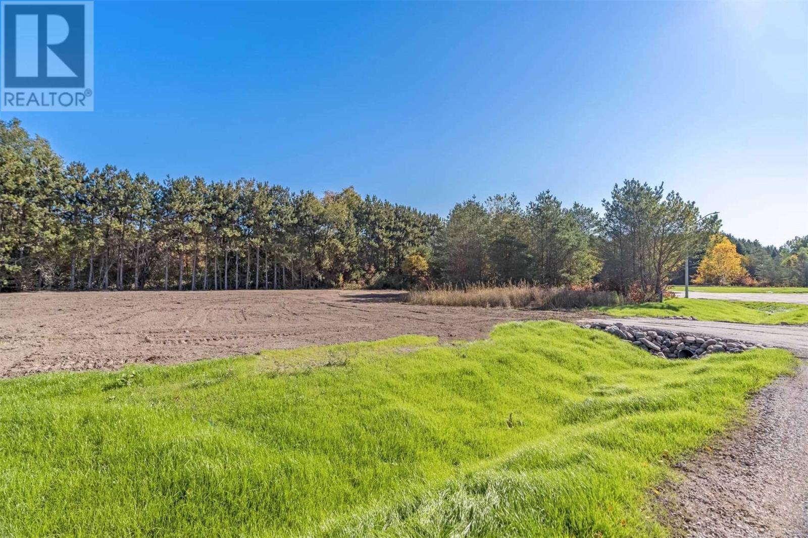 Listing S5792771 - Large Photo # 3
