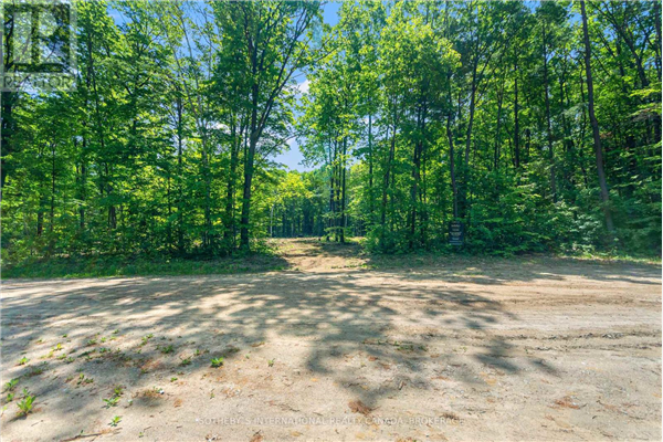 309 7 EAST CONCESSION, Tiny