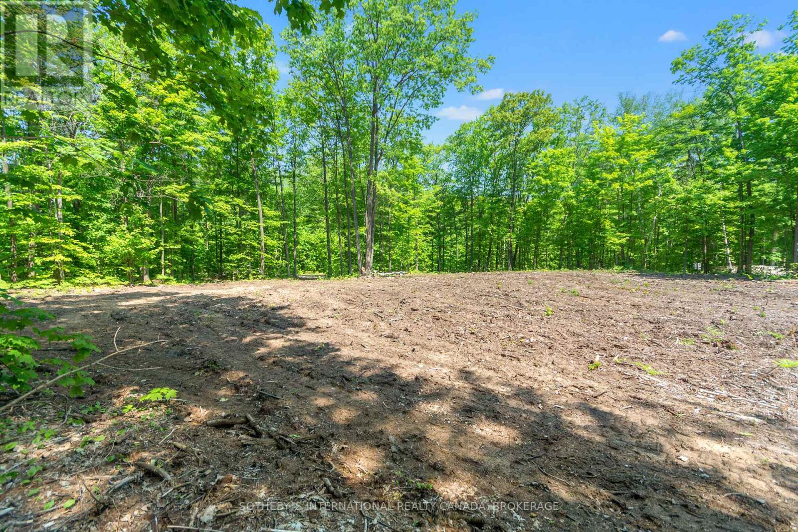 Listing S5814022 - Large Photo # 7