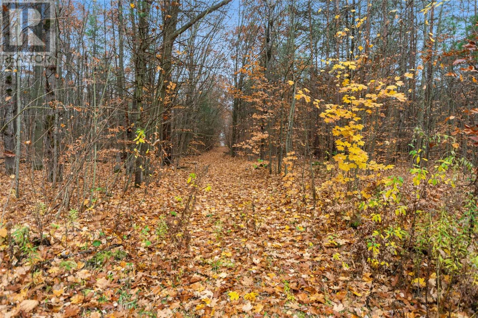 Listing S5814022 - Large Photo # 25