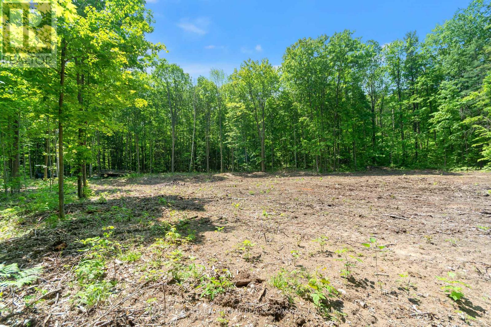Listing S5814022 - Large Photo # 8