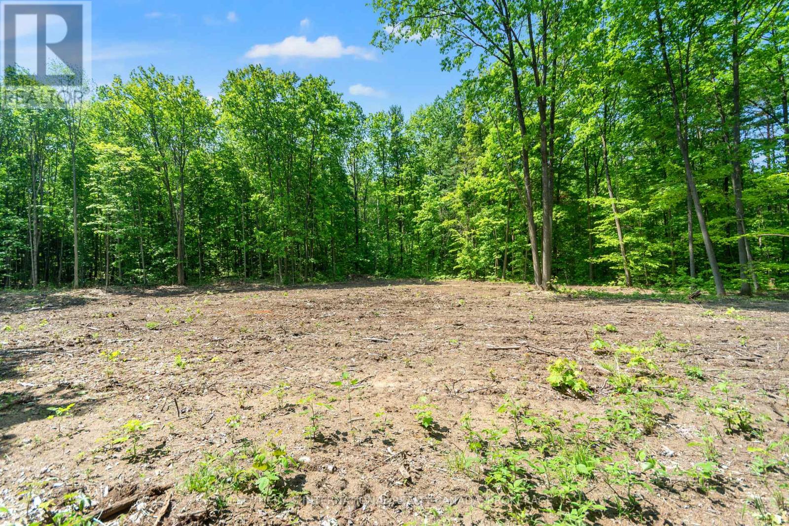 Listing S5814022 - Large Photo # 9
