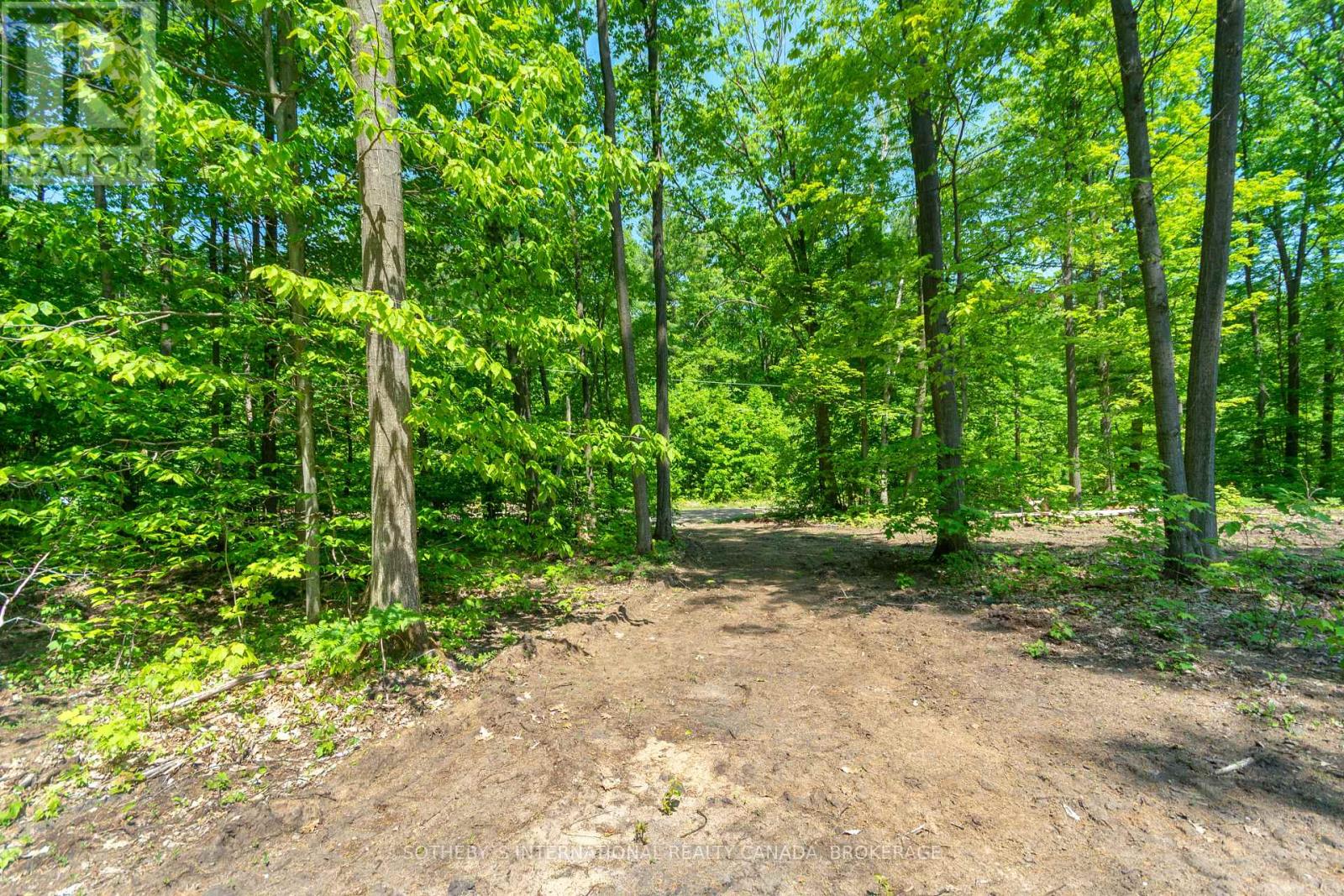 Listing S5814022 - Large Photo # 10