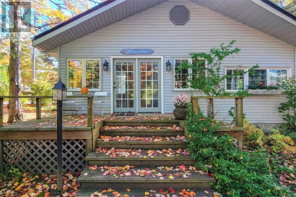19 HASTINGS AVE, Tiny