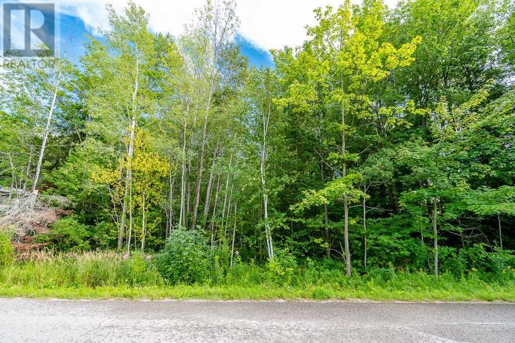 Listing S5838265 - Large Photo # 6