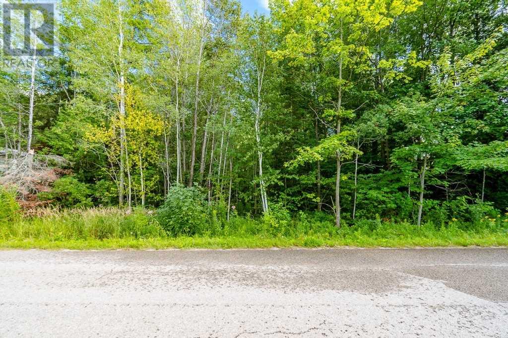Listing S5838265 - Large Photo # 5