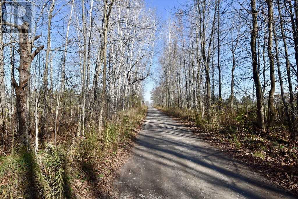 Listing S5853994 - Large Photo # 17