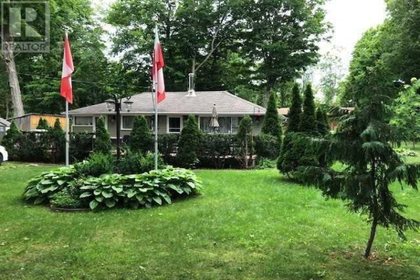 62 BROOK AVE, Tiny