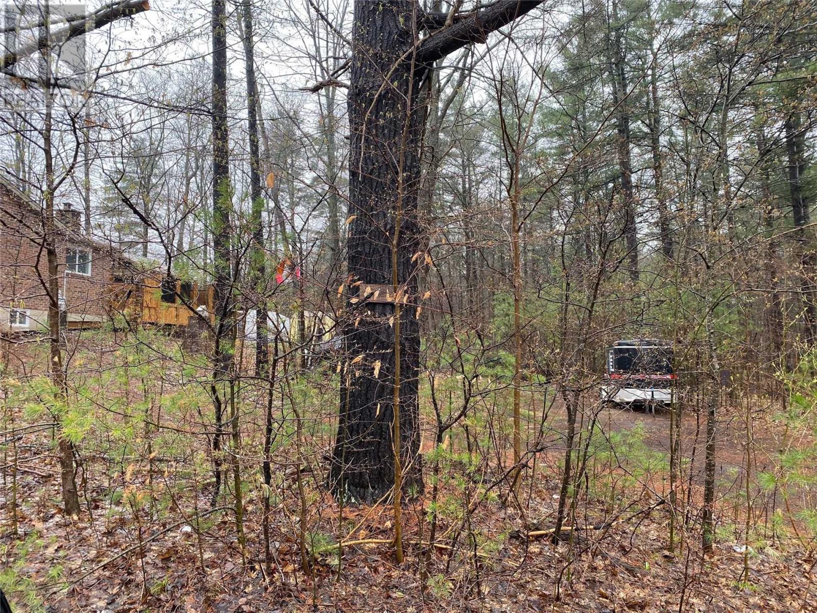 Listing S6047819 - Large Photo # 4
