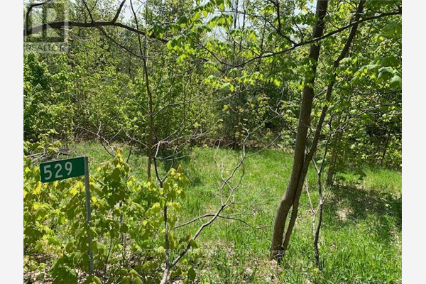 529 MOUNT ST LOUIS RD W, Oro-Medonte