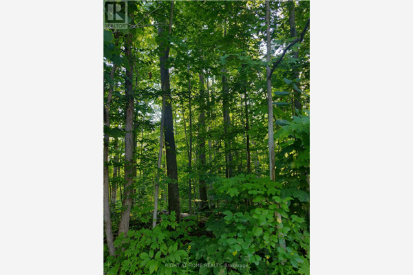 68 WOZNIAK RD, Penetanguishene