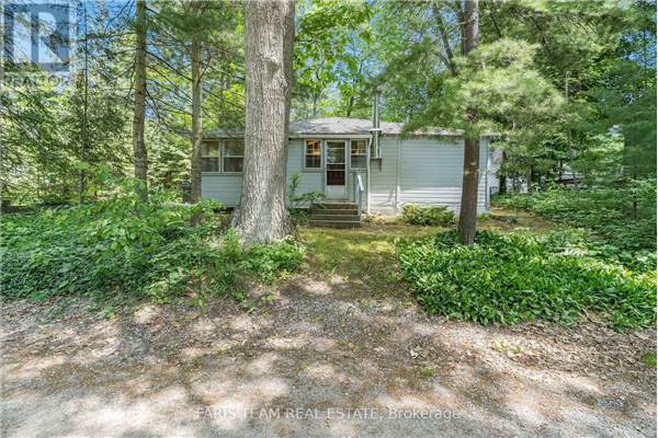 18 PARK RD, Tiny