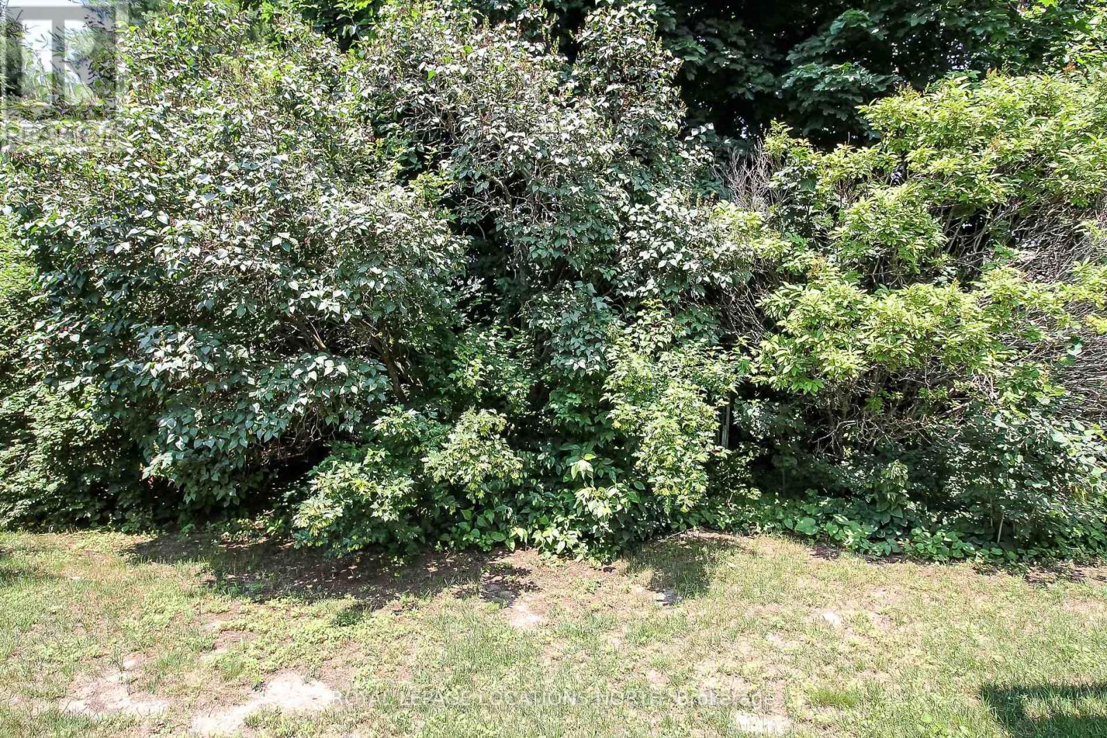 93 SILVER BIRCH AVE