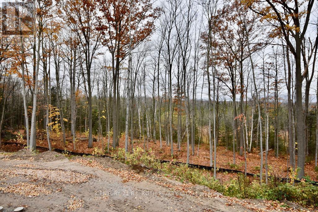 25 JEAN MILLER CRT