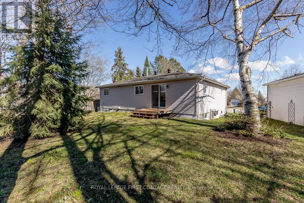 3 CHESTNUT CRT