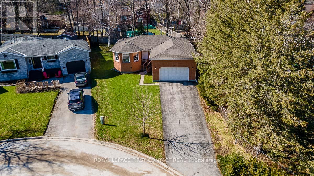 3 CHESTNUT CRT