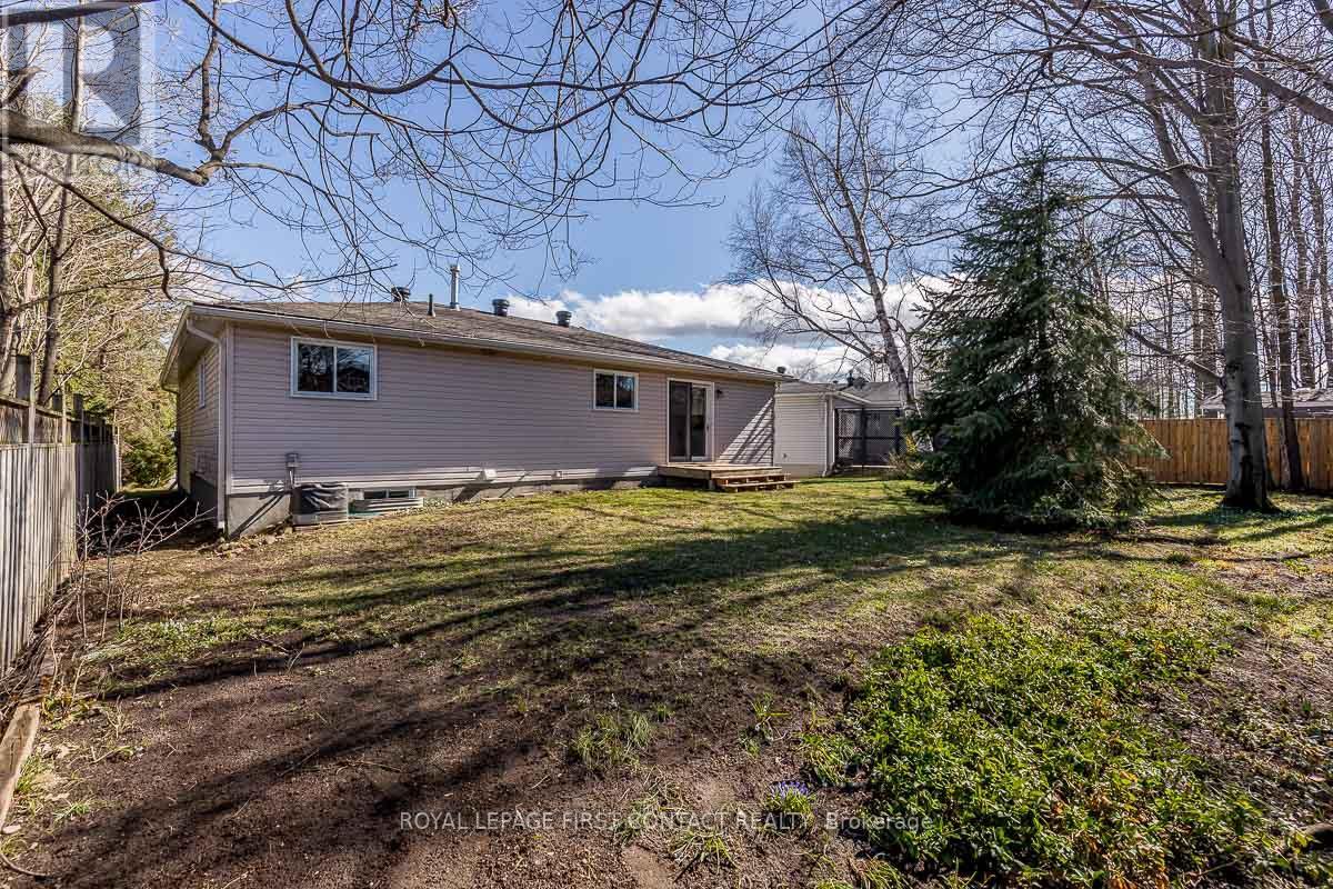 3 CHESTNUT CRT