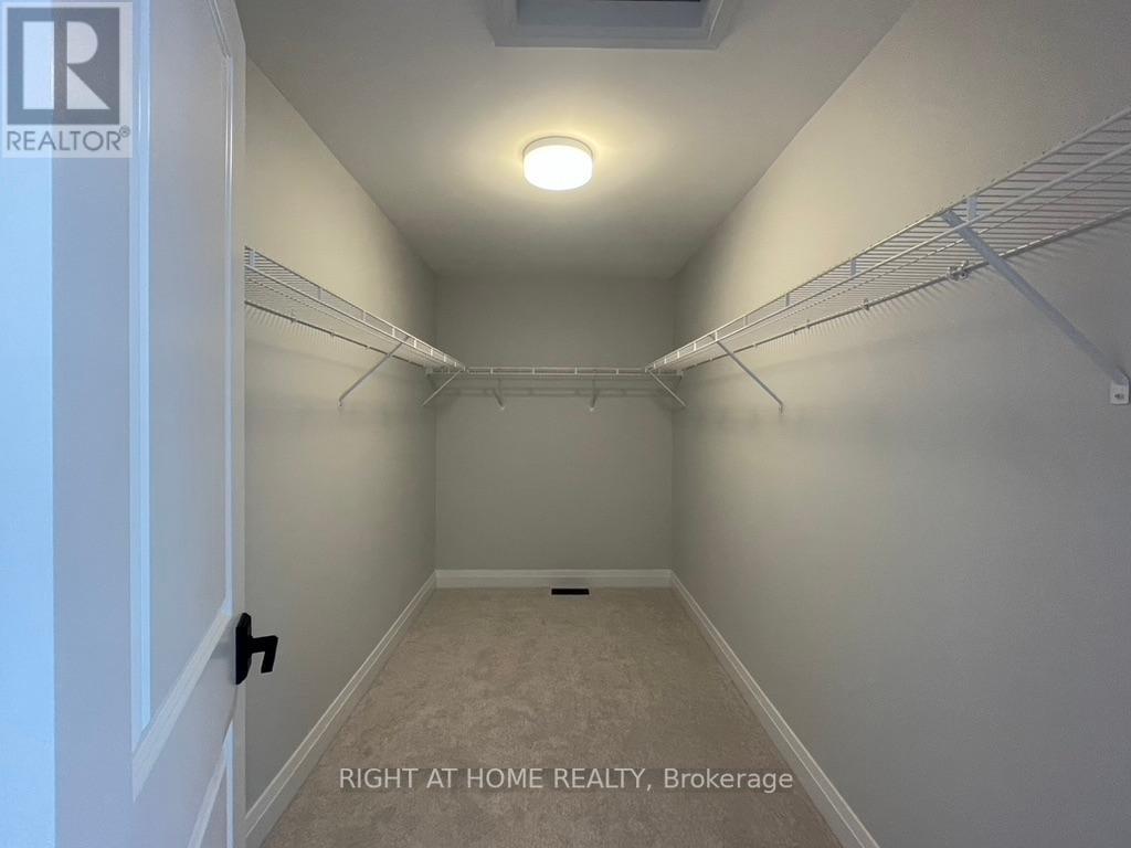 14 SWEET CICELY ST