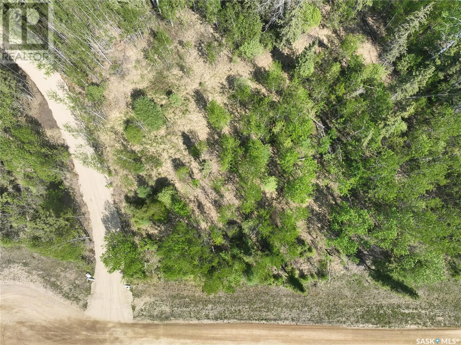 6 Roy Stevens BAY