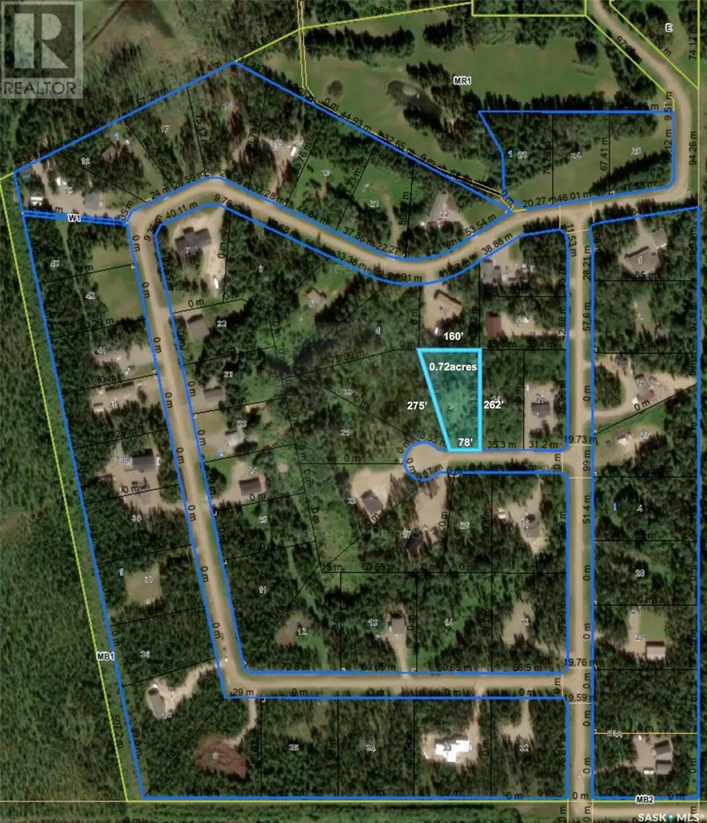 6 Roy Stevens BAY