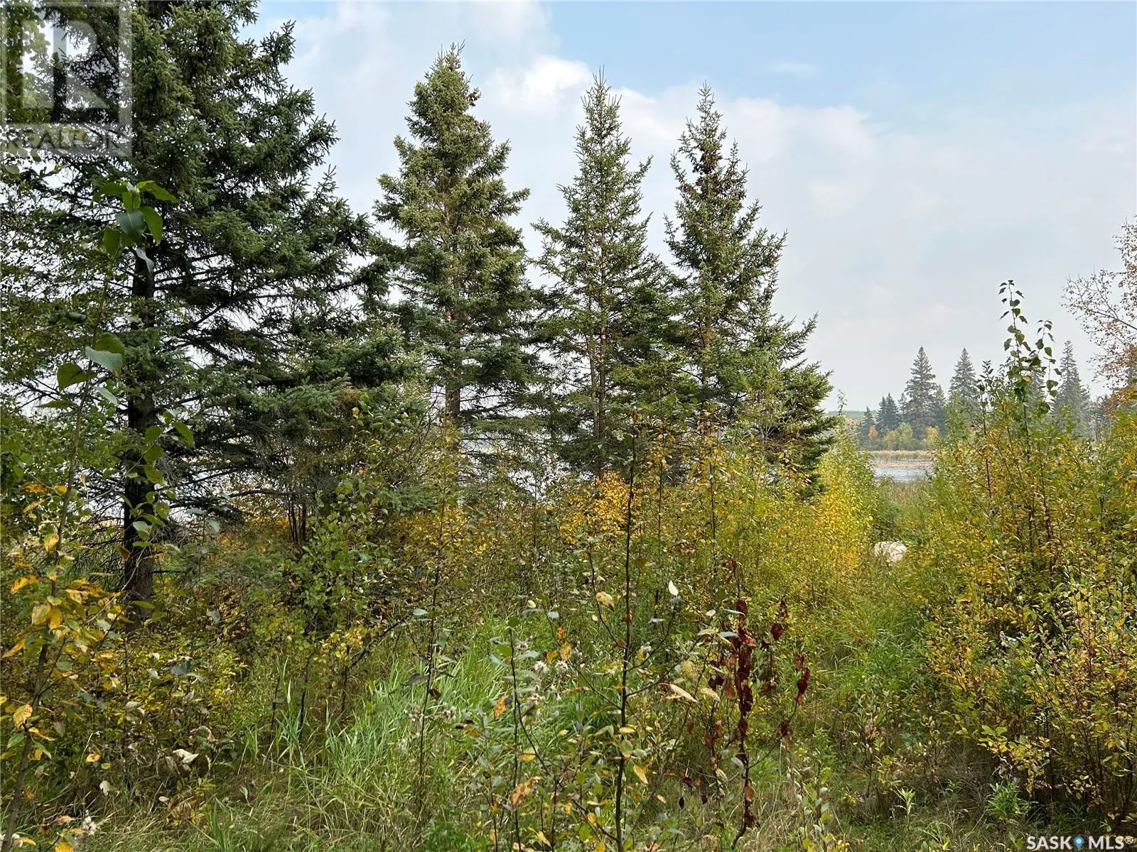 1301 Laurie PLACE