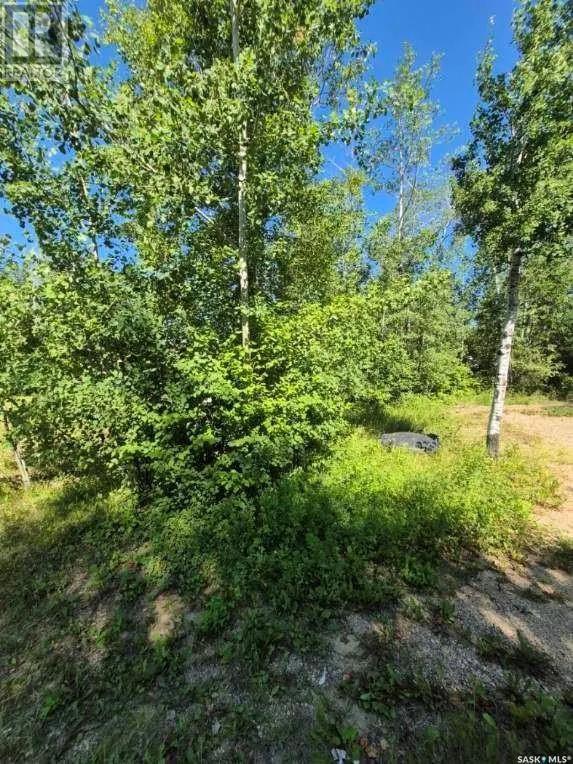 Lot 133 Birchwood AVENUE