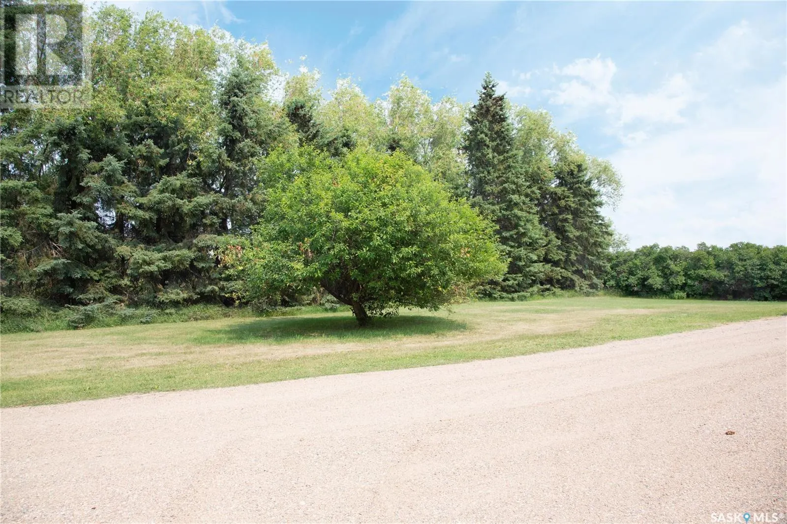 South Shellbrook Acreage