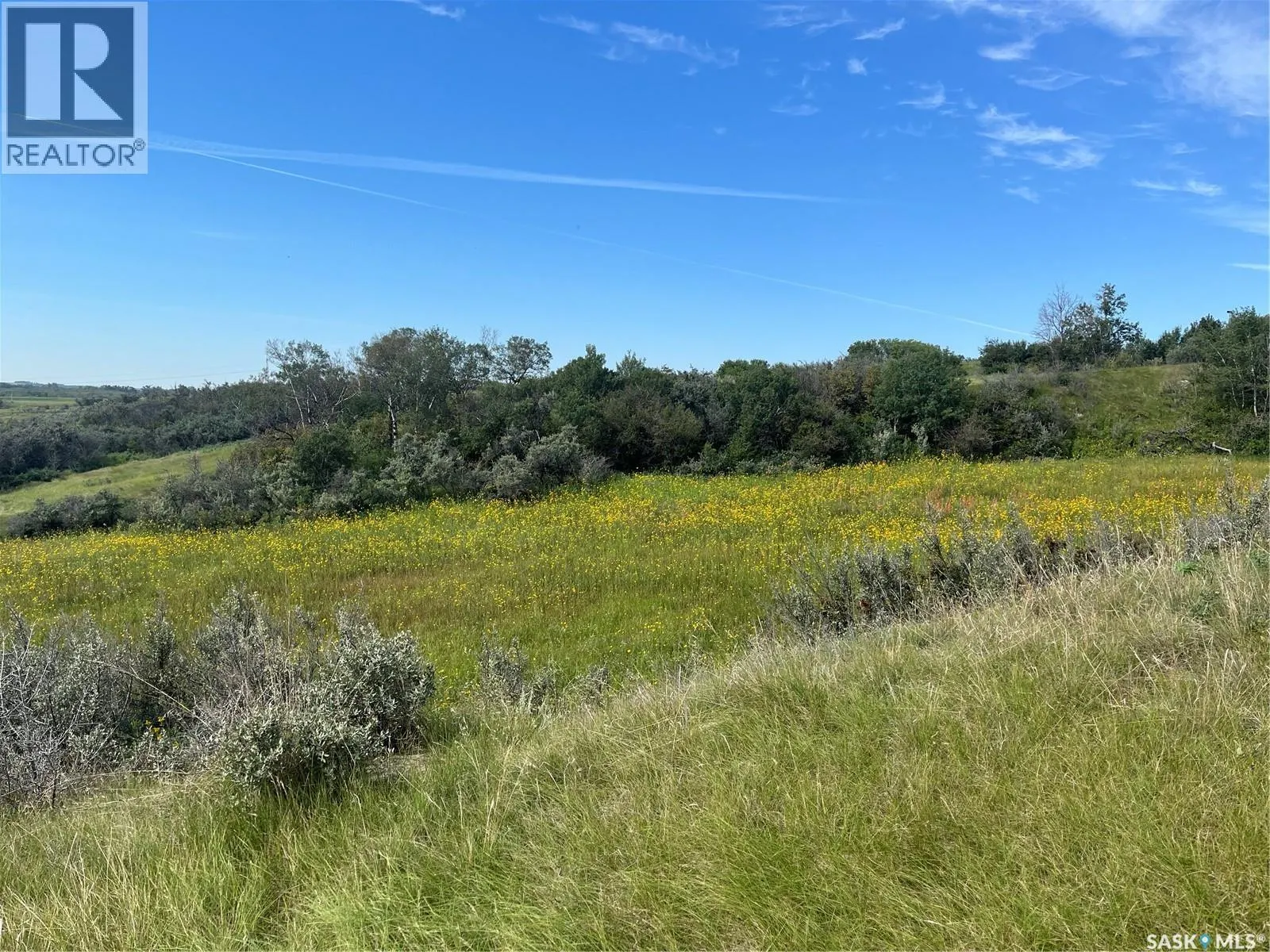 Borden Bridge 143.57 Acres