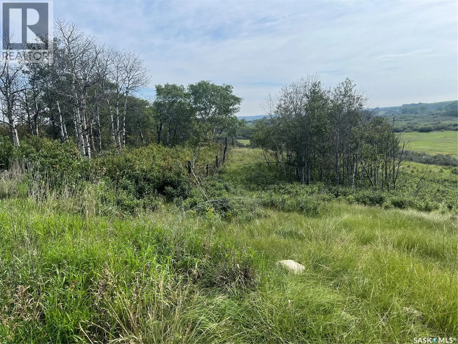 Borden Bridge 143.57 Acres